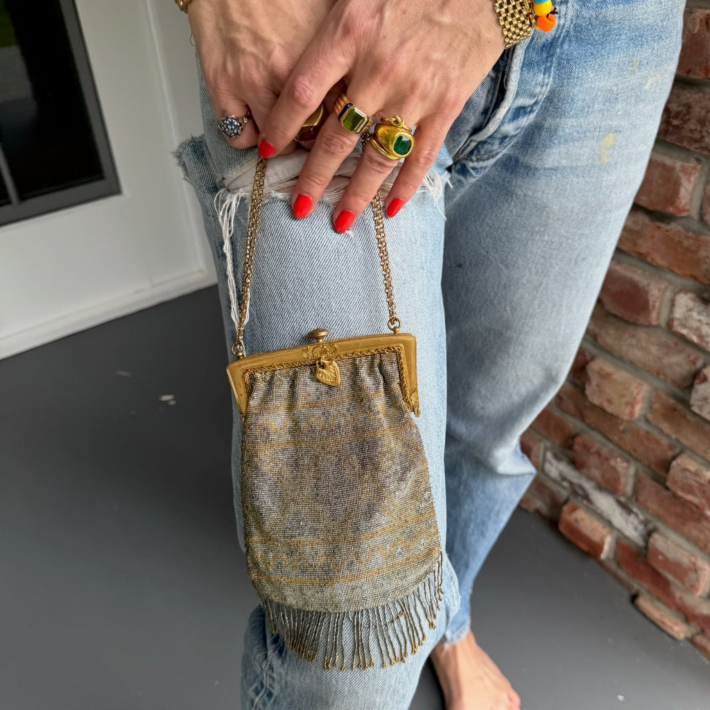 1920s Beaded Fringe Evening Purse